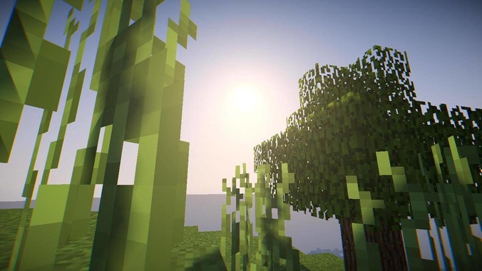 大三了，应该去做运维还是去J***a后端呢？